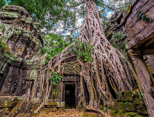 3-Day Cambodia Signature Journey: Angkor Heritage, Phnom Kulen & Tonle Sap